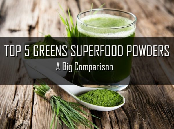 Best Greens Powder? Find Our Comparison Table With All Data