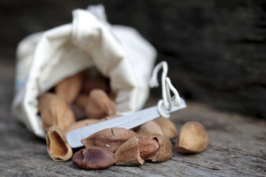 pili nuts benefits